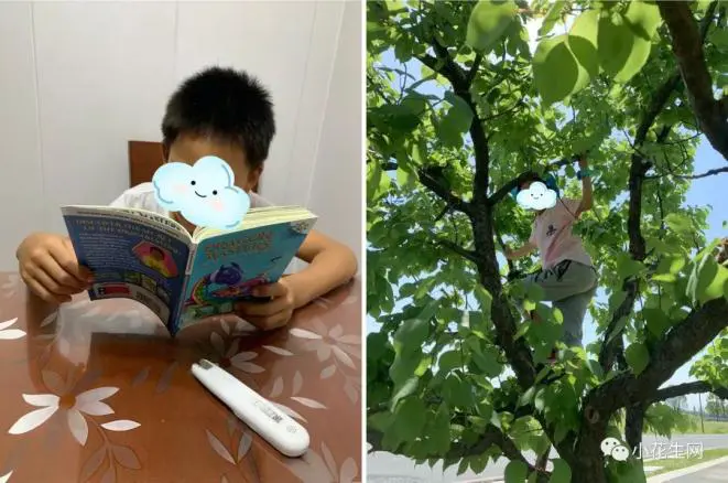 篮球小学生基本功训练教学反思简短_0